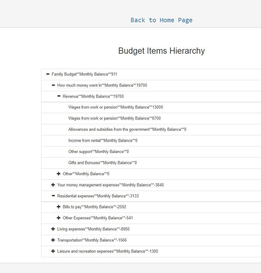 Download web tool or web app WEB  Family Budget Planner