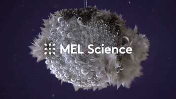 Free download What is MEL Science video and edit with RedcoolMedia movie maker MovieStudio video editor online and AudioStudio audio editor onlin