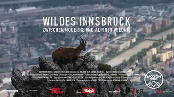 Free download Wild Innsbruck Finalist Trailer video and edit with RedcoolMedia movie maker MovieStudio video editor online and AudioStudio audio editor onlin