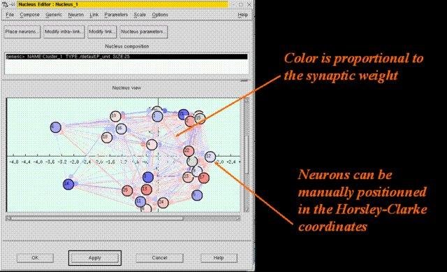 Download web tool or web app XNBC: neurobiology simulation tool