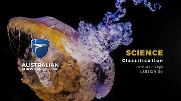 Free download Year 7 - Science - Classification - Circular keys - Lesson 3b video and edit with RedcoolMedia movie maker MovieStudio video editor online and AudioStudio audio editor onlin