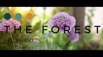 Free download Yorkshire Wedding | The Forest Film Co..mov video and edit with RedcoolMedia movie maker MovieStudio video editor online and AudioStudio audio editor onlin