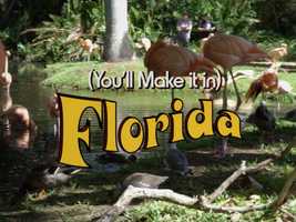 Free download (Youll Make It In) Florida -- Trailer video and edit with RedcoolMedia movie maker MovieStudio video editor online and AudioStudio audio editor onlin