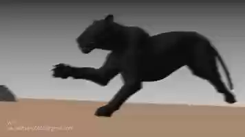 Free download Black Panther Run Animation video and edit with RedcoolMedia movie maker MovieStudio video editor online and AudioStudio audio editor onlin