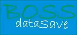 Download web tool or web app BossDataSave