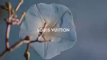 Free download Dreams, Fears  Memories - Louis Vuitton SS20 video and edit with RedcoolMedia movie maker MovieStudio video editor online and AudioStudio audio editor onlin