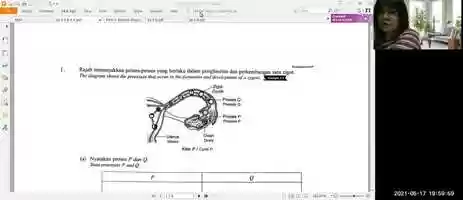 Free download F1 Science Lesson 13 170521 video and edit with RedcoolMedia movie maker MovieStudio video editor online and AudioStudio audio editor onlin