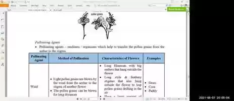 Free download F1 Science Lesson 15 070621 video and edit with RedcoolMedia movie maker MovieStudio video editor online and AudioStudio audio editor onlin