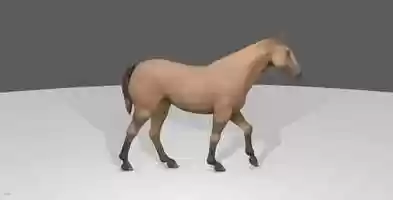 Free download Horse Walk Cycle video and edit with RedcoolMedia movie maker MovieStudio video editor online and AudioStudio audio editor onlin