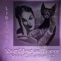 Free download LibriVox Short Ghost and Horror Story Collection Vol. 012 audio book and edit with RedcoolMedia movie maker MovieStudio video editor online and AudioStudio audio editor onlin