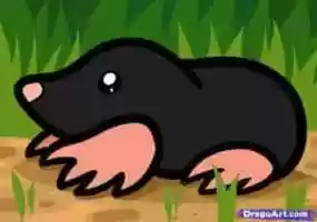 Free download MOLE - A nice glimpse on the life of such animal video and edit with RedcoolMedia movie maker MovieStudio video editor online and AudioStudio audio editor onlin