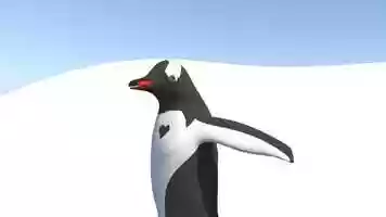 Free download Penguin Animation Tests video and edit with RedcoolMedia movie maker MovieStudio video editor online and AudioStudio audio editor onlin