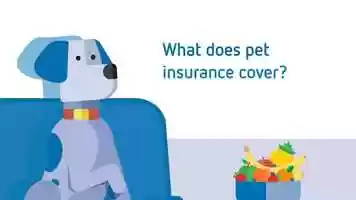 Free download PetSure - What is Covered? video and edit with RedcoolMedia movie maker MovieStudio video editor online and AudioStudio audio editor onlin