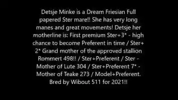 Free download Running free video of Detsje Minke - Full papered Ster mare sired by Norbert 444 Sport+Pref x Wierd 409 Sport video and edit with RedcoolMedia movie maker MovieStudio video editor online and AudioStudio audio editor onlin