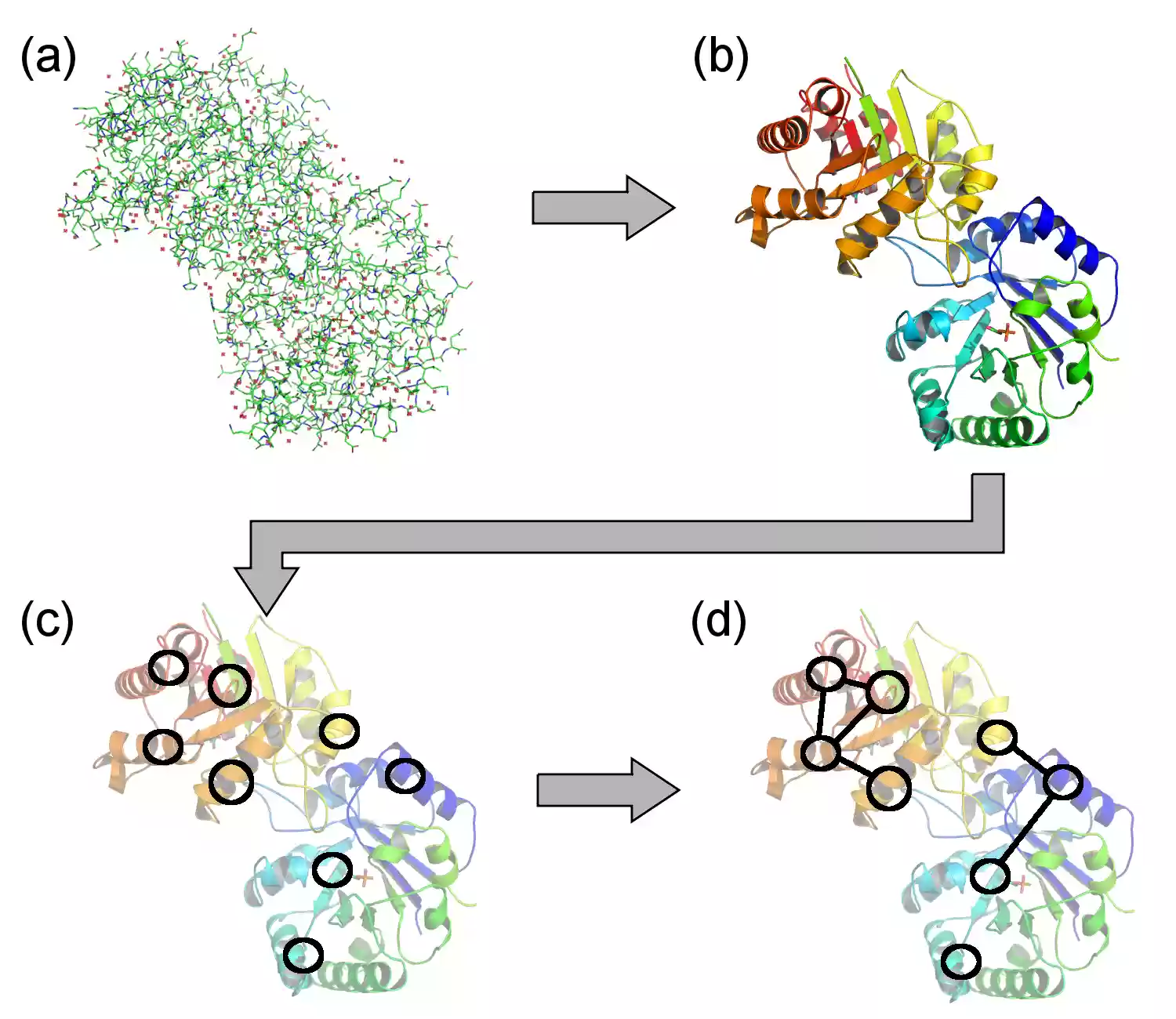 Download web tool or web app Visualization of Protein-Ligand Graphs