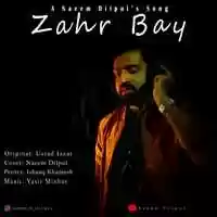 Free download Zahr Bay - Naeem Dilpul.mp4 video and edit with RedcoolMedia movie maker MovieStudio video editor online and AudioStudio audio editor onlin